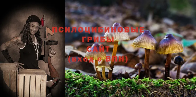 Галлюциногенные грибы MAGIC MUSHROOMS  ссылка на мегу как зайти  Белогорск 